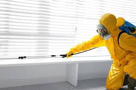 Best Fumigation Services  in North Merrick, NY